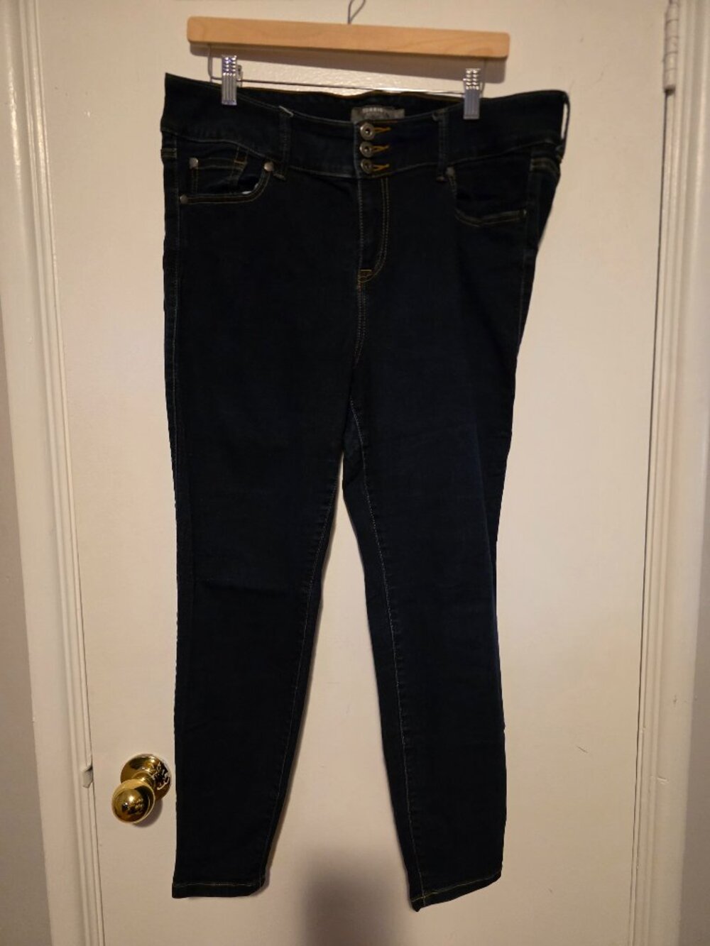 Torrid Jeggings (Dark Wash)